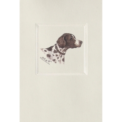 Greeting Cards - Brown Dog  