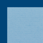 blue/navy blue