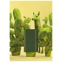 Flex Cactus Notebook - FLEXCACTSNB