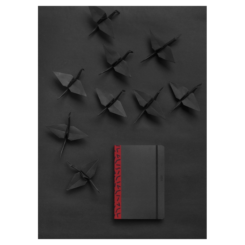 Flex Visions Planner - FLEXVSNOPLNR