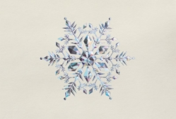 Silver Embossed Snowflake Cards