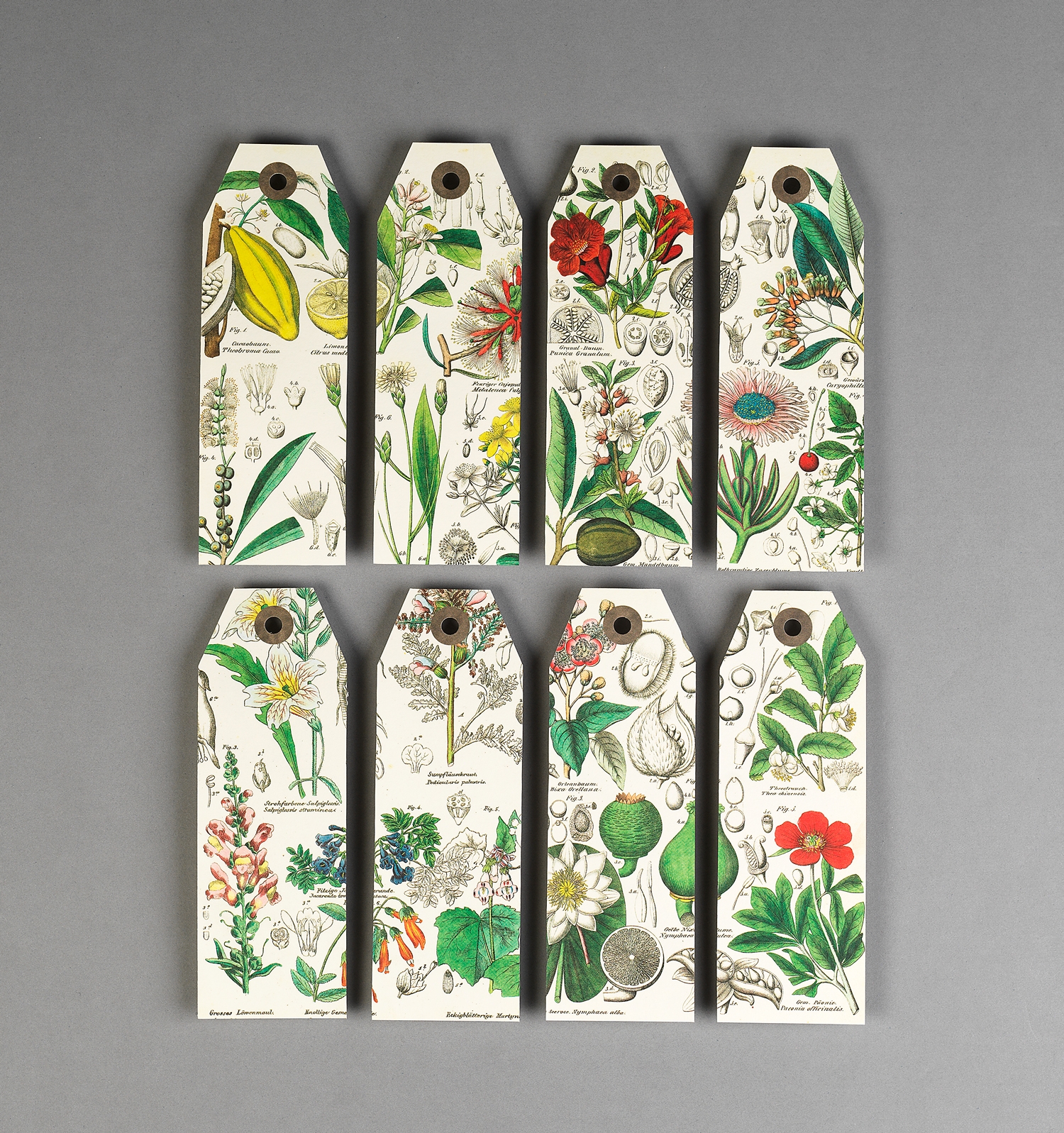 Pepin Papercraft Books - PEPPCB
